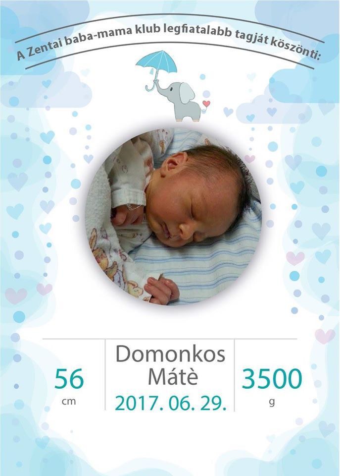 Domonkos Máté