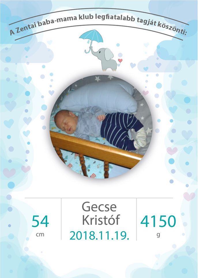 Gecse Kristóf