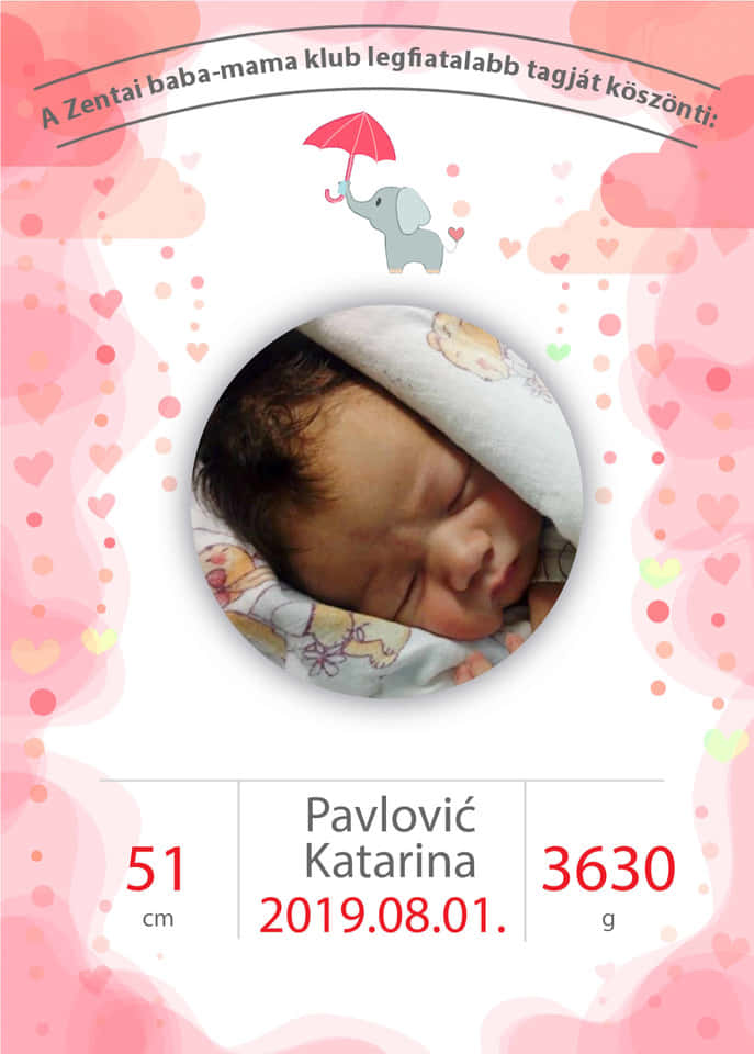 Pavlović Katarina