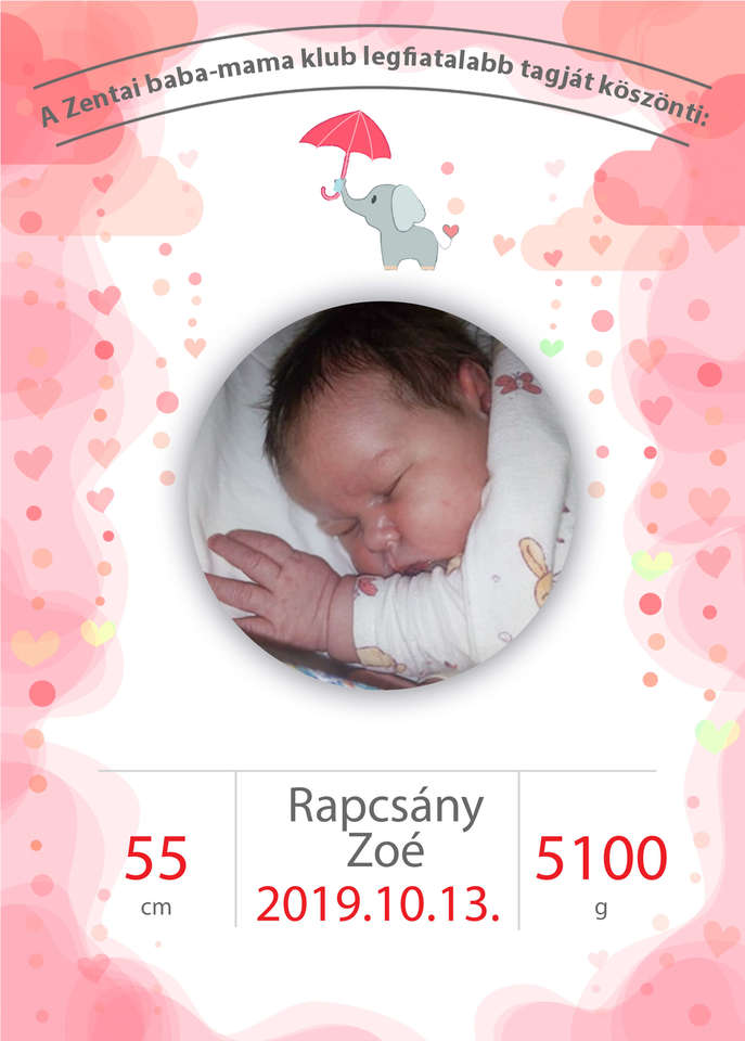 Rapcsány Zoe
