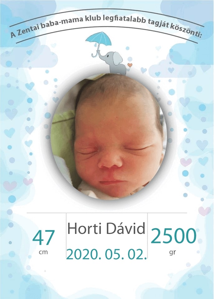 Horti Dávid
