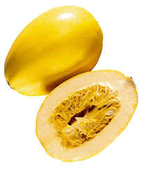 22 HETES TERHESSÉG