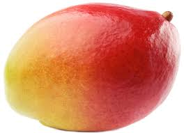 23 HETES TERHESSÉG