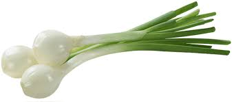 26 HETES TERHESSÉG