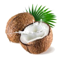 31 HETES TERHESSÉG