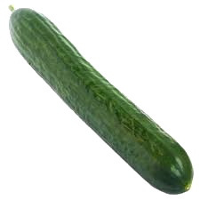 32 HETES TERHESSÉG